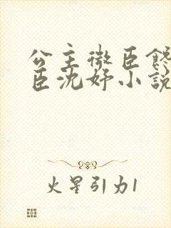 公主微臣馋了微臣沈妤小说