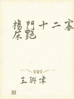杨门十二寡妇肉床艳