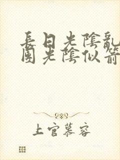 长日光阴乱作一团光阴似箭眇眇翟封面