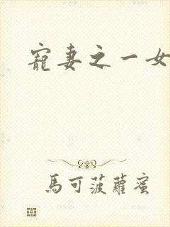 宠妻之一女二夫