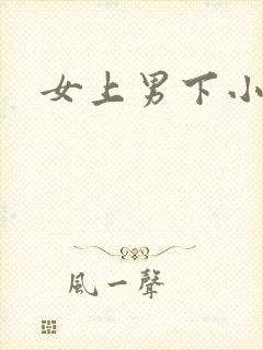 女上男下小说