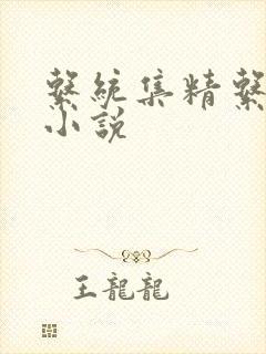 系统集精系统 小说