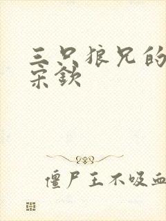 三只狼兄的宠妻宋钦封面