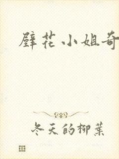 壁花小姐奇遇记