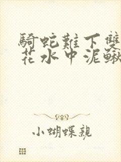 骑蛇难下双金银花水中泥鳅双男主