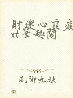 财迷心窍癫婆txt笔趣阁封面