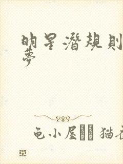 明星潜规则之皇梦