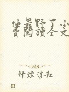 他最野了小说免费阅读全文封面