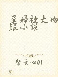 孕妇被大肉楱征服小说封面