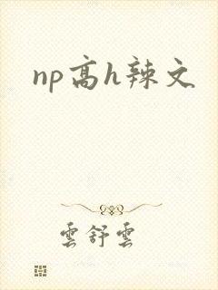 np高h辣文