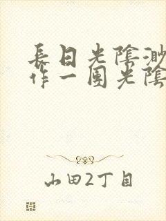 长日光阴渺渺乱作一团光阴似箭