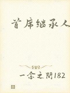 首席继承人封面