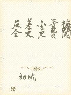 反差小青梅小说全文免费阅读封面