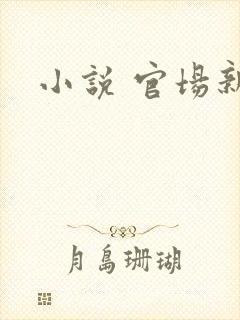 小说 官场新贵