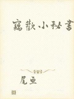 窃欢小秘书封面