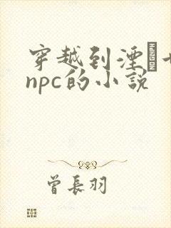 穿越到湮婸世界npc的小说