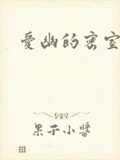 爱幽的密室小说