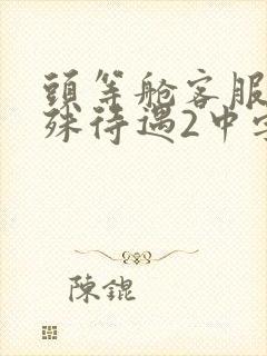 头等舱客服的特殊待遇2中字