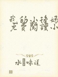 我的小后妈全文免费阅读小说封面