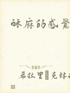 酥麻的感觉小说封面