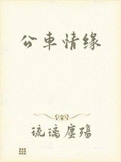 公车情缘