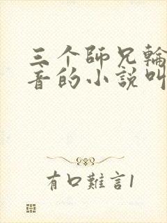 三个师兄轮流上音的小说叫什么