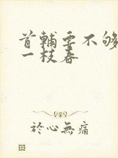 首辅要不够po一枝春