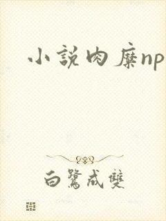 小说肉糜np