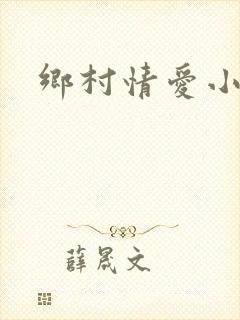 乡村情爱小说