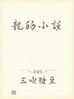 龙的小说
