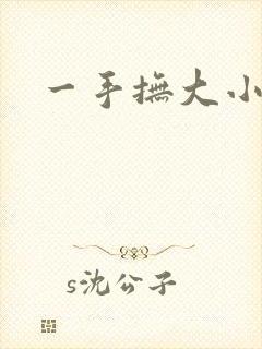一手抚大小说