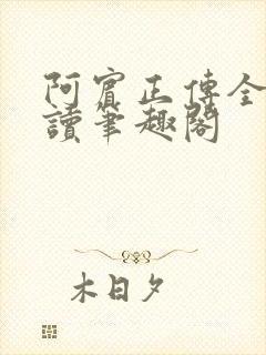 阿宾正传全文阅读笔趣阁