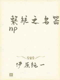 系统之名器攻略np