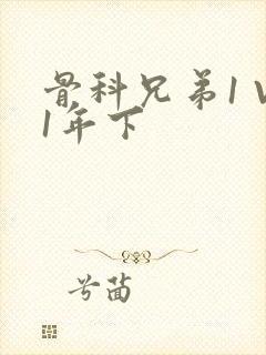 骨科兄弟1 V1年下封面