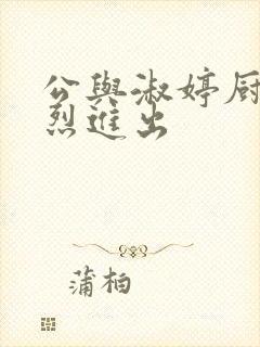 公与淑婷厨房猛烈进出