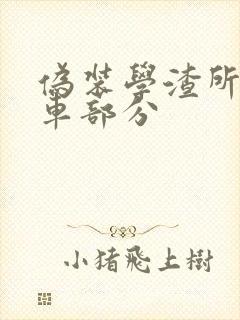 伪装学渣所有开车部分