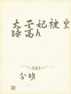 太子妃被皇上强睡高h