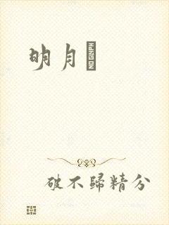 明月珰封面