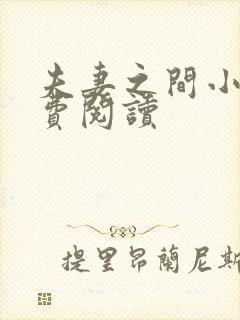 夫妻之间小说免费阅读