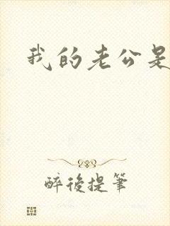 我的老公是军阀