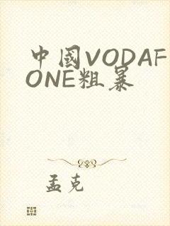 中国VODAFONE粗暴