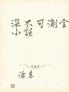 深不可测金银花小说封面
