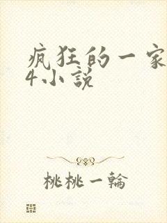 疯狂的一家ps4小说