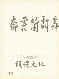 太子妃和皇帝在御花园叫什么小说