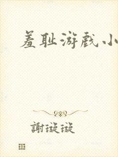 羞耻游戏小说封面