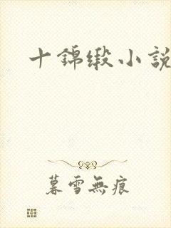 十锦缎小说