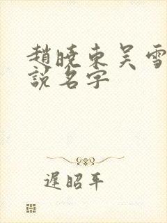 赵晓东吴雪晴小说名字