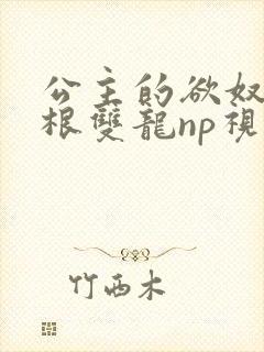 公主的欲奴h四根双龙np视频