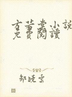 方若棠小说全文免费阅读封面