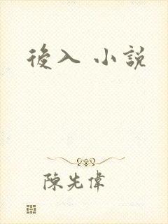 后入 小说